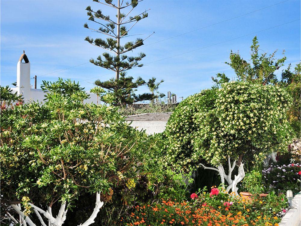 Dimitra Pension Mykonos Town Exterior photo